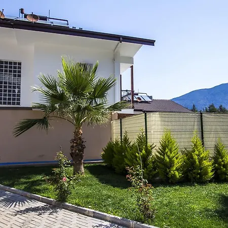 Incir * Fethiye