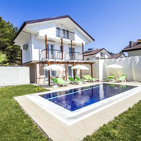 Incir Vila Fethiye